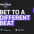 bet at